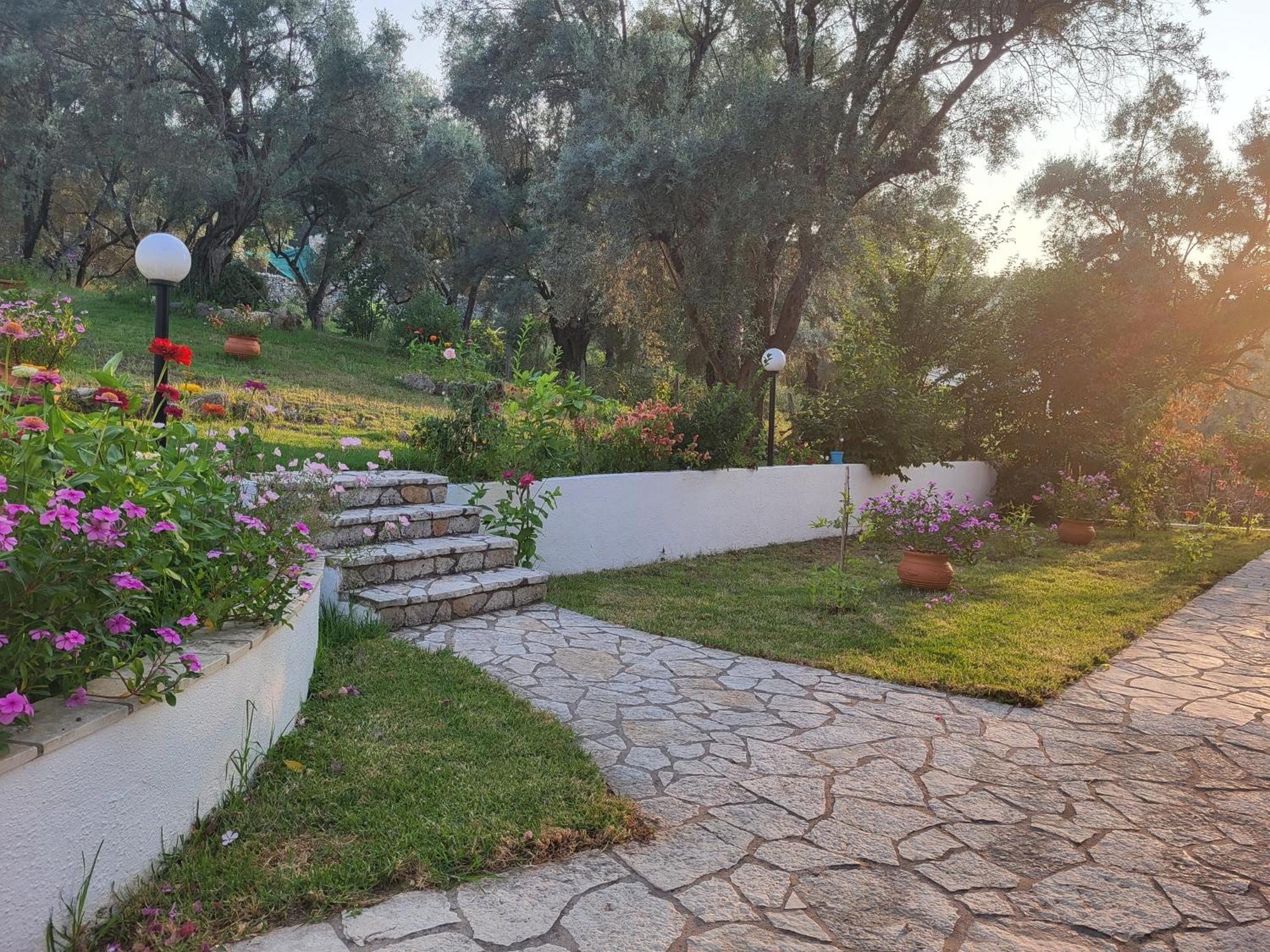 Dimitra Studios Lefkáda Exterior foto
